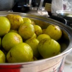 The Khohanotz: Fig Jam