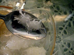 The Khohanotz: Faloodeh